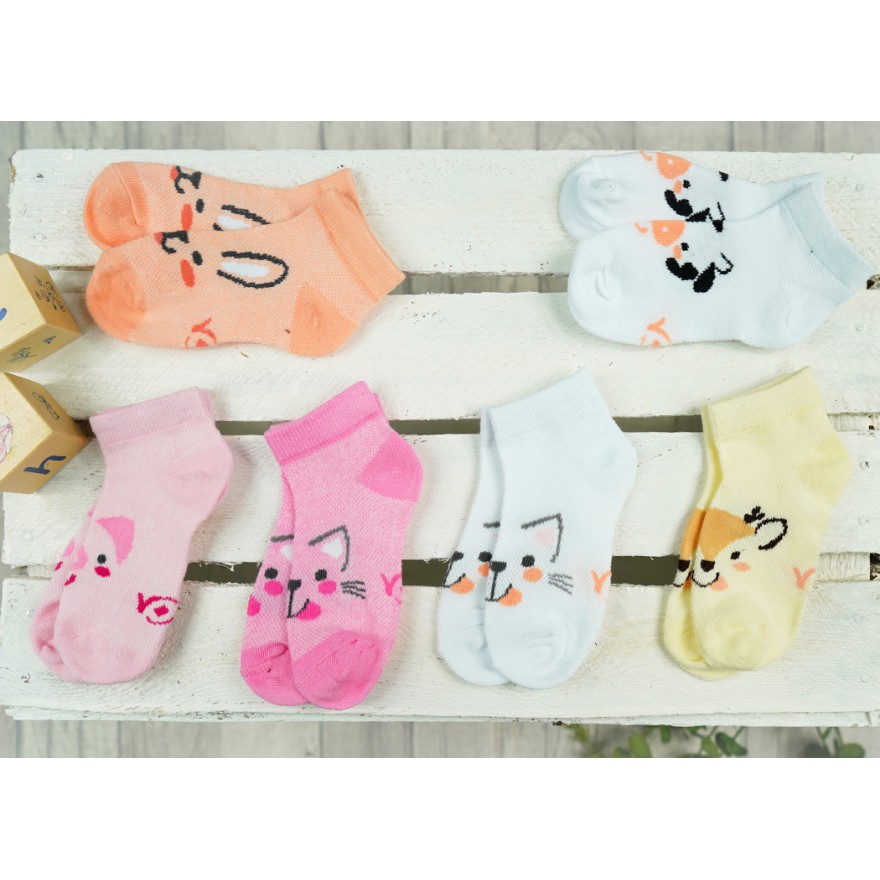 6pak skarpetki stopki dziewczęce letnie ZWIERZAKI skarpety ażurowe D-60