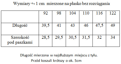 rozmiarowka_koszula_dziewczeca_edyta.jpg